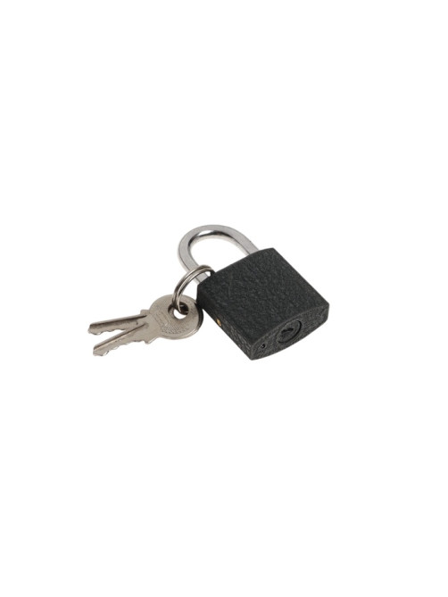 Замок навесной ТУНДРА OneKey001, 25 мм, с одной секретностью, 2 ключа