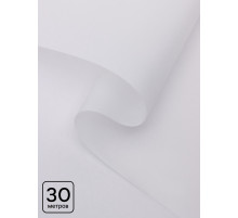 Пленка для цветов, матовая, белый, 0.57×30 м ±5 %, 50 мкм