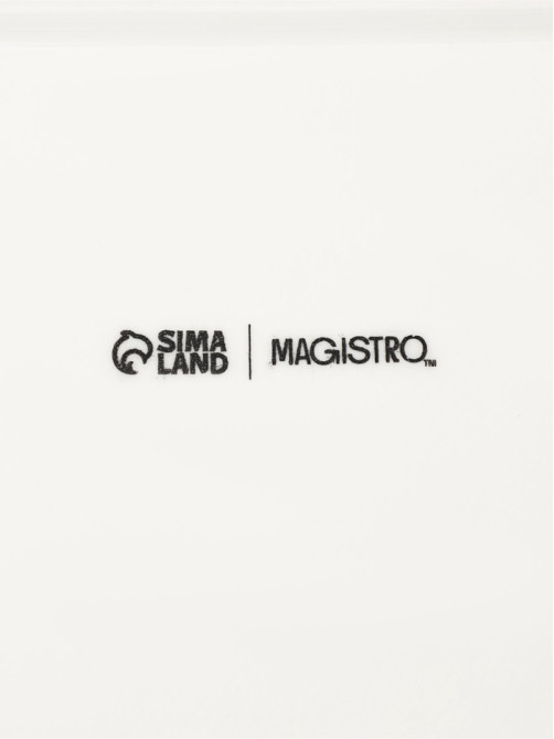 Менажница Magistro «Бланш», 31×21×3.5 см, 4 ячейки, фарфор, белая