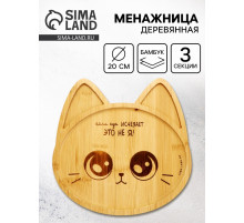 Менажница «Котик», 20 см