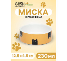 Миска «Удивление», 230 мл, 12.5×4.5 cм, керамика, жёлтая