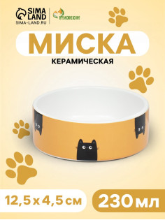 Миска «Удивление», 230 мл, 12.5×4.5 cм, керамика, жёлтая