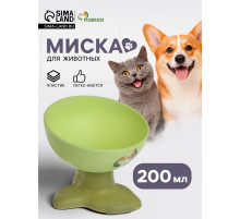 Миска на подставке, 200 мл, под углом, зелёная