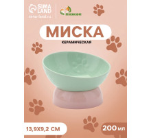 Миска «Туда-сюда», 200 мл, 13.9×9.2 см, керамика, зелёная, розовая