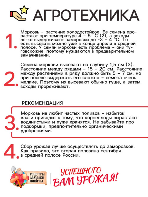 Семена Морковь «Витаминная 6», 2 г, среднеспелая, «Рецепты дедушки Никиты»
