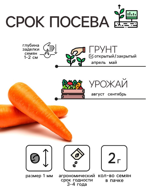 Семена Морковь «Нантская 4», 2 г, среднеспелая, «Рецепты дедушки Никиты»