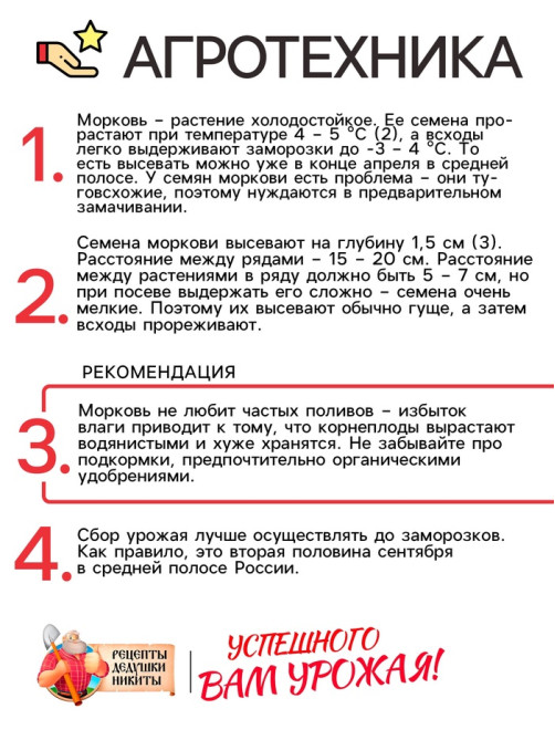 Семена Морковь «Лосиноостровская 13», 2 г, среднеспелая, «Рецепты дедушки Никиты»