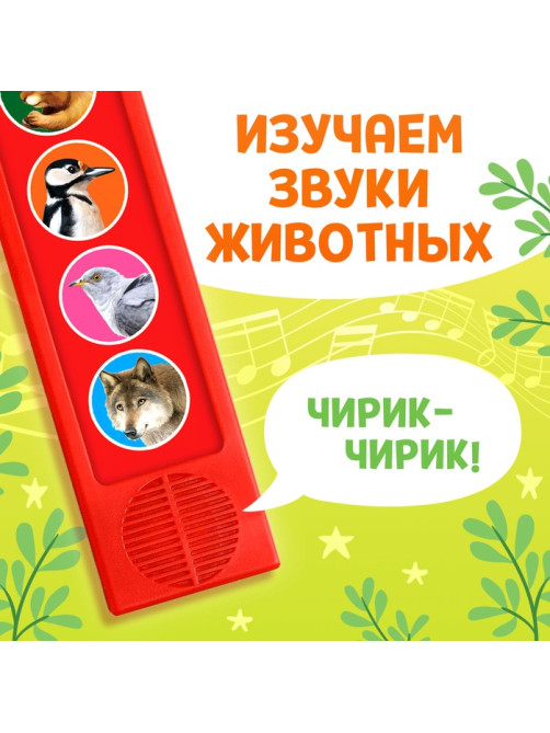 Музыкальная развивающая игрушка «Звуки леса», 5 кнопок