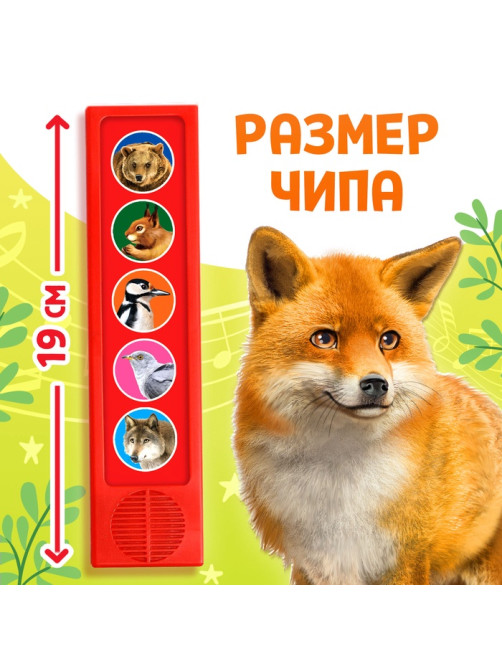 Музыкальная развивающая игрушка «Звуки леса», 5 кнопок