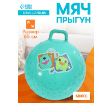 Мяч прыгун массажный 65 см, МИКС