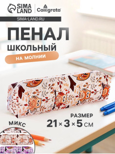 Пенал школьный Calligrata «Совы», на молнии, 1 отделение, с принтом, МИКС