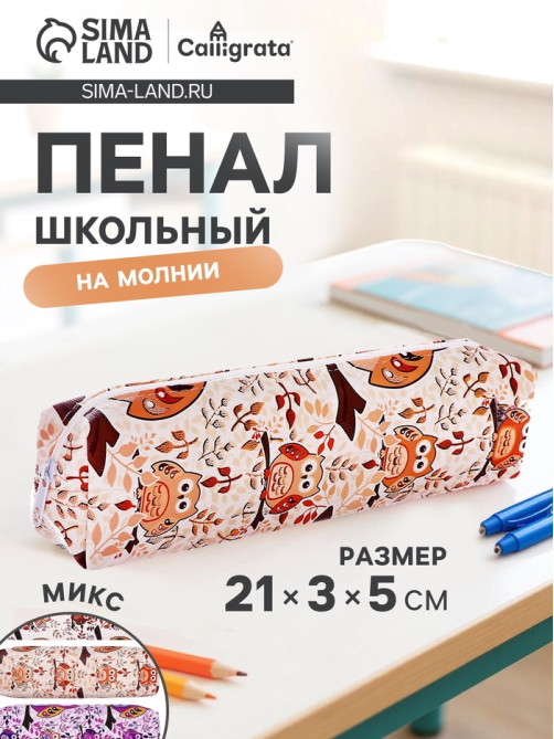 Пенал школьный Calligrata «Совы», на молнии, 1 отделение, с принтом, МИКС