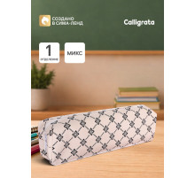 Пенал школьный на молнии Calligrata «Классика», с принтом, МИКС