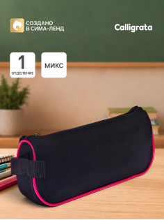 Пенал мягкий 1 отделение 100×200×45 с ручкой, стандарт, черный, МИКС