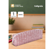 Пенал школьный Calligrata «Джинс», на молнии, 1 отделение, с текстурой ткани, МИКС