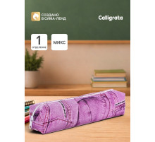 Пенал школьный Calligrata «Джинса», на молнии, 1 отделение, МИКС