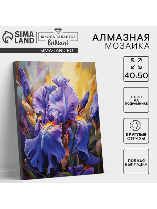 Алмазная мозаика с полным заполнением на холсте с подрамником «Ирисы», 40×50 см
