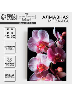 Алмазная мозаика с полным заполнением на холсте «Орхидеи», 40×50 см