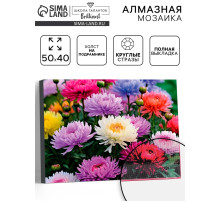 Алмазная вышивка полное заполнение «Астры», на раме, 40×50 см
