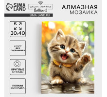 Алмазная мозаика с полным заполнением на холсте «Пушистый Милаш», 30×40 см