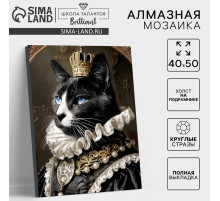 Алмазная мозаика с полным заполнением на холсте с подрамником «Мусье кот», 40×50 см
