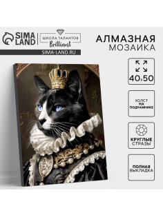 Алмазная мозаика с полным заполнением на холсте с подрамником «Мусье кот», 40×50 см