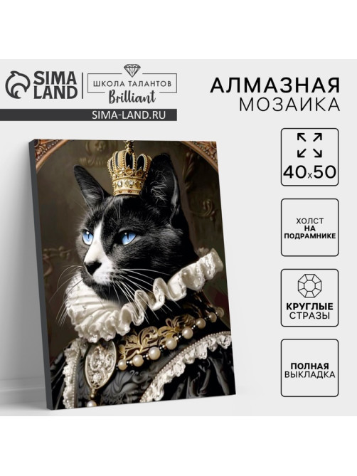 Алмазная мозаика с полным заполнением на холсте с подрамником «Мусье кот», 40×50 см
