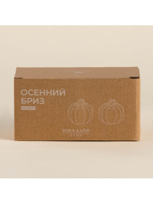 Набор для специй SL Home «Осенний бриз», 100 мл, доломит, белый