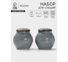 Набор для специй Magistro Alpine Frost, 2 предмета: перечница, солонка, 80 мл, 5×6 см, фарфор, голубовато-серый