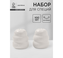 Набор для специй Доляна «Зефир», солонка, перечница, 100 мл, керамика, белый
