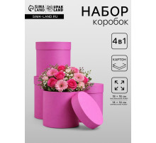 Набор подарочных шляпных коробок 4 в 1 «Фуксия» 18×18 ‒14×14 ±2 см