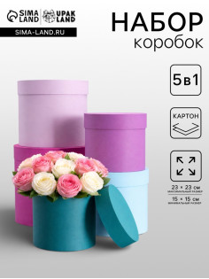 Набор шляпных подарочных коробок 5 в 1, пурпурный, 23×23-15×15 см