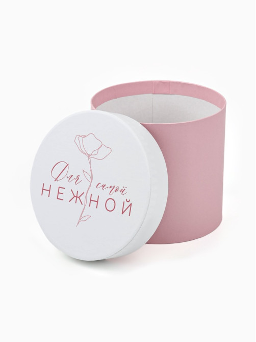 Набор подарочных коробок, упаковка, 5 в 1 «Нежность», 14×13 ‒22×19.5 см
