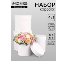 Набор круглых подарочных коробок 4 в 1 «Белизна», 20×19.5 ‒13×13 см