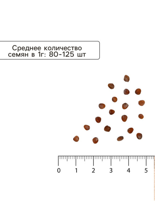 Набор семян Редиса, 6 упаковок