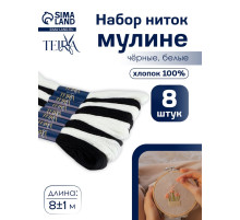 Нитки мулине TEIRA, 8±1 м, набор 8 шт., хлопок, чёрные, белые
