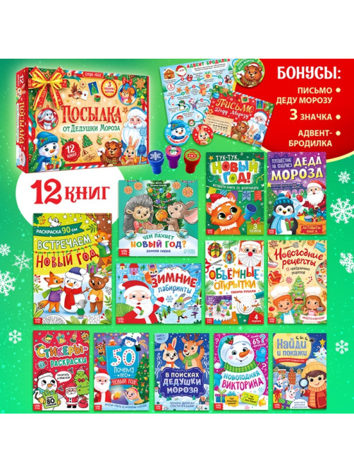 Подарок на Новый год для детей «Посылка от Дедушки Мороза», большой новогодний подарочный набор книг 12 шт., письмо деду морозу, адвент - бродилка, значки