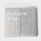 Насадки для плоской швабры Future Alp 4 clean system, 2 шт., 40.5×11.5 см