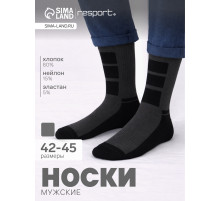 Носки мужские спортивные утепленные Resport, размер 42-45, серые