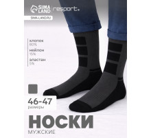 Носки мужские спортивные утепленные Resport, размер 46-47, серые