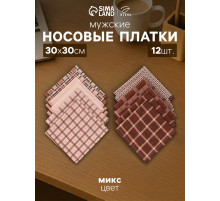 Платки носовые мужские «Этель», 30×30 см, набор 12 шт., 100% хлопок, коричневые, рисунок МИКС