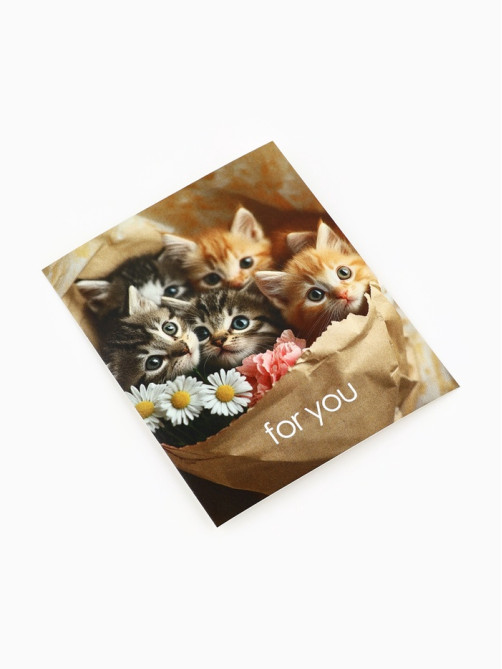 Открытки - мини в коробке со скрепками «Котики», набор 35 шт., 8×10 см