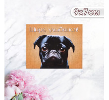 Мини-открытка «Шире улыбайся!» 9×7 см