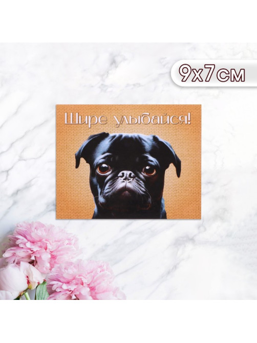 Мини-открытка «Шире улыбайся!» 9×7 см