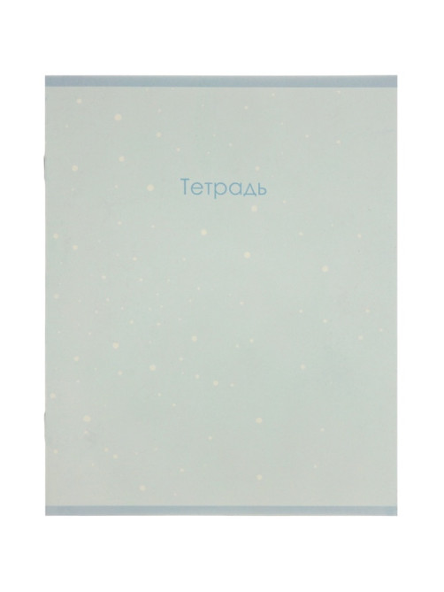 Тетрадь 12 листов в косую линейку Calligrata «Монохром», блок №2, 5 В МИКС