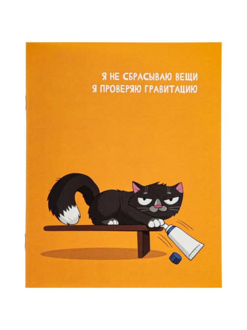 Тетрадь 24 листа в линейку Calligrata «Кошачьи мемы», блок офсет, 5 В МИКС
