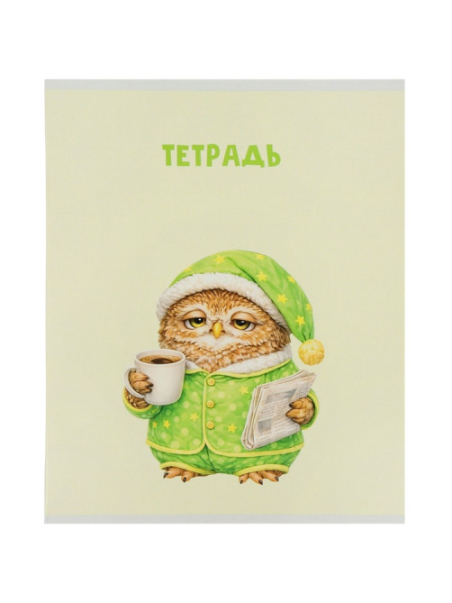 Набор тетрадей из 5 штук, 36 листов в клетку Calligrata «Совушки», блок офсет, 5 видов