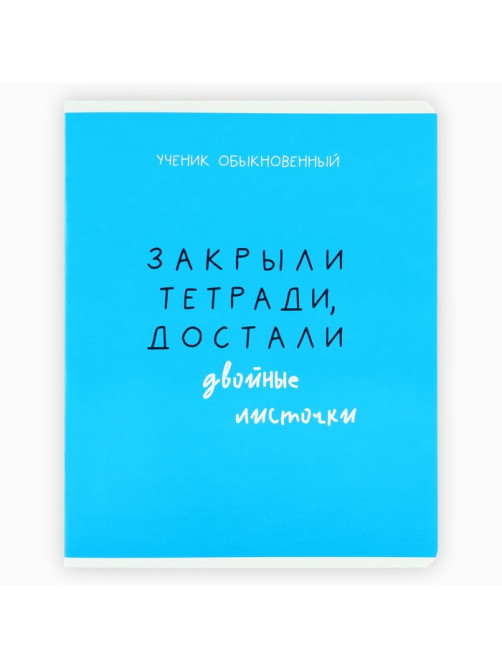 Тетрадь в клетку, 48 л., А5, на скрепке, блок №2 «Типичный ученик», твин лак, уф лак, МИКС