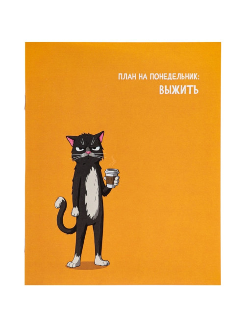 Тетрадь 24 листа в линейку Calligrata «Кошачьи мемы», блок офсет, 5 В МИКС