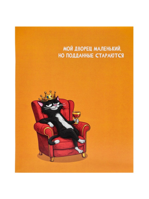 Тетрадь 24 листа в линейку Calligrata «Кошачьи мемы», блок офсет, 5 В МИКС